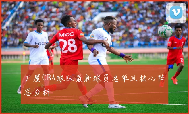 广厦CBA球队最新球员名单及核心阵容分析