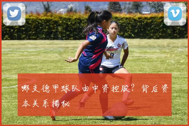 哪支德甲球队由中资控股？背后资本关系揭秘