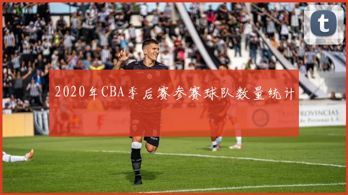 2020年CBA季后赛参赛球队数量统计