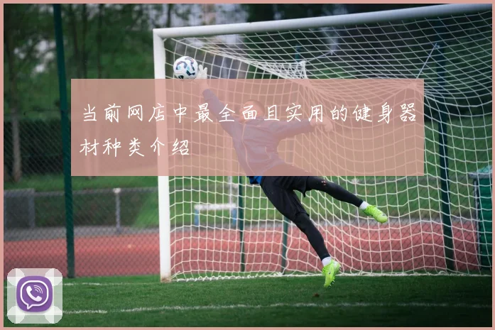 当前网店中最全面且实用的健身器材种类介绍