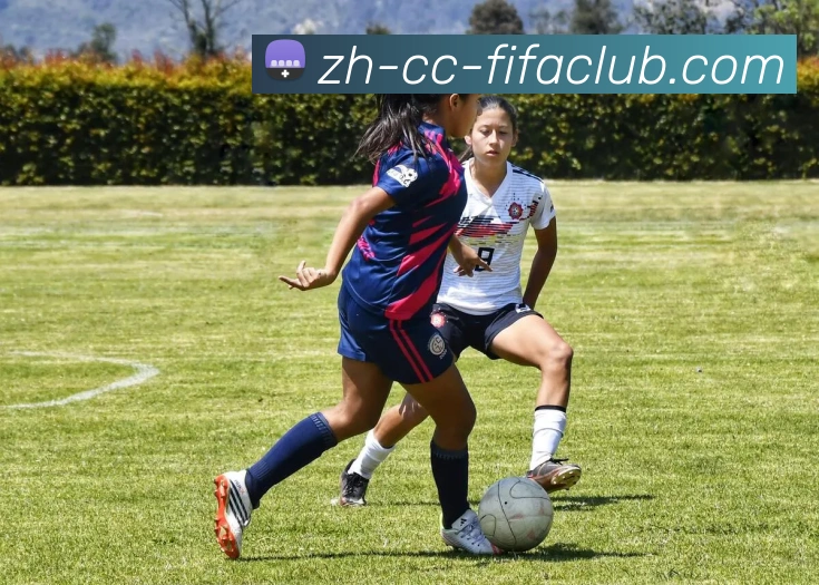 世界杯直播APP 高清赛事图